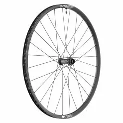 Dt-swiss X 1900 Spline® 25 Disc BOOST 29" MTB Front Wheel, MY2022