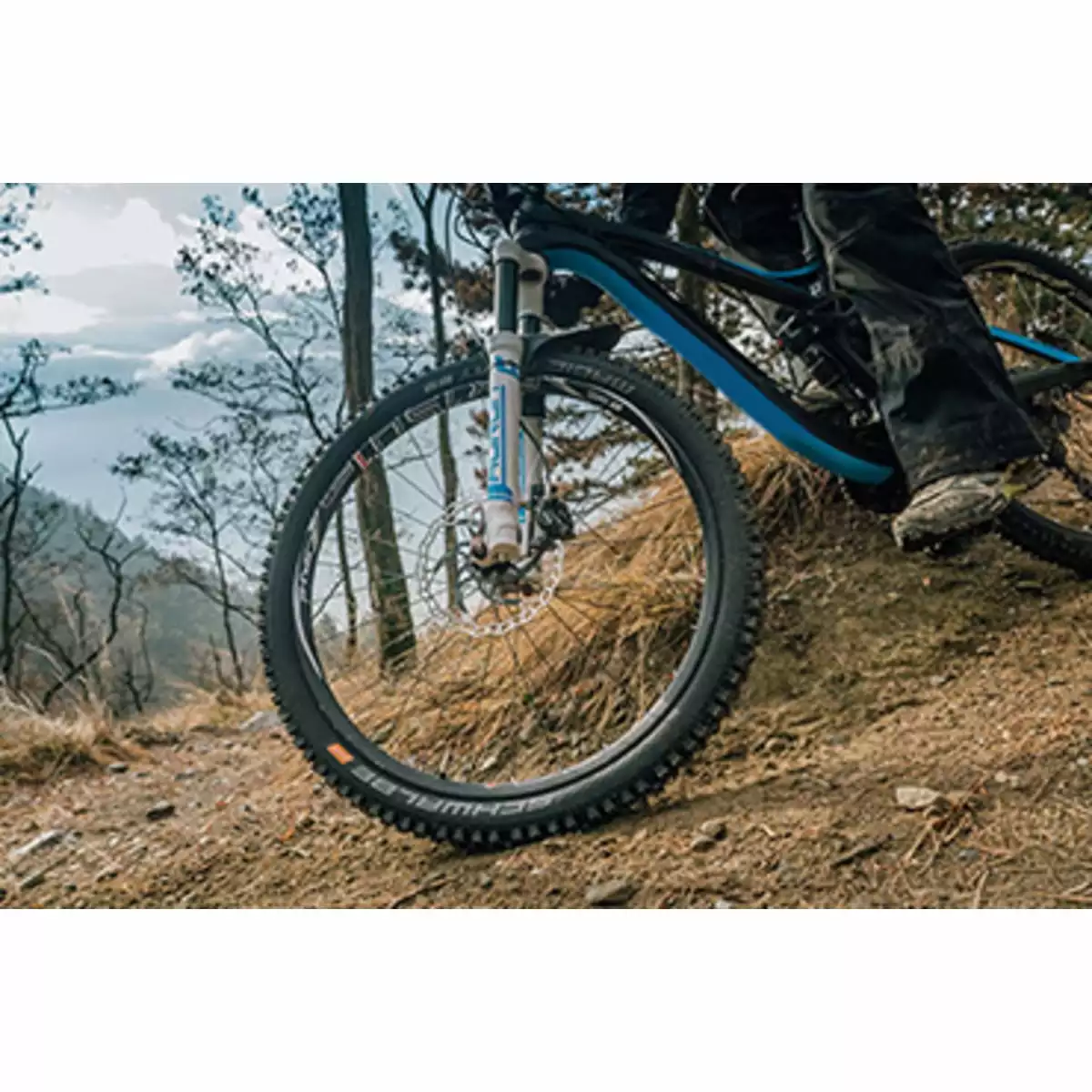 Schwalbe Magic Mary Performance ADDIX Bike Park MTB Clincher Dæk 4 Schwalbe Magic Mary Performance ADDIX Bike Park MTB Clincher Dæk - Billede 2